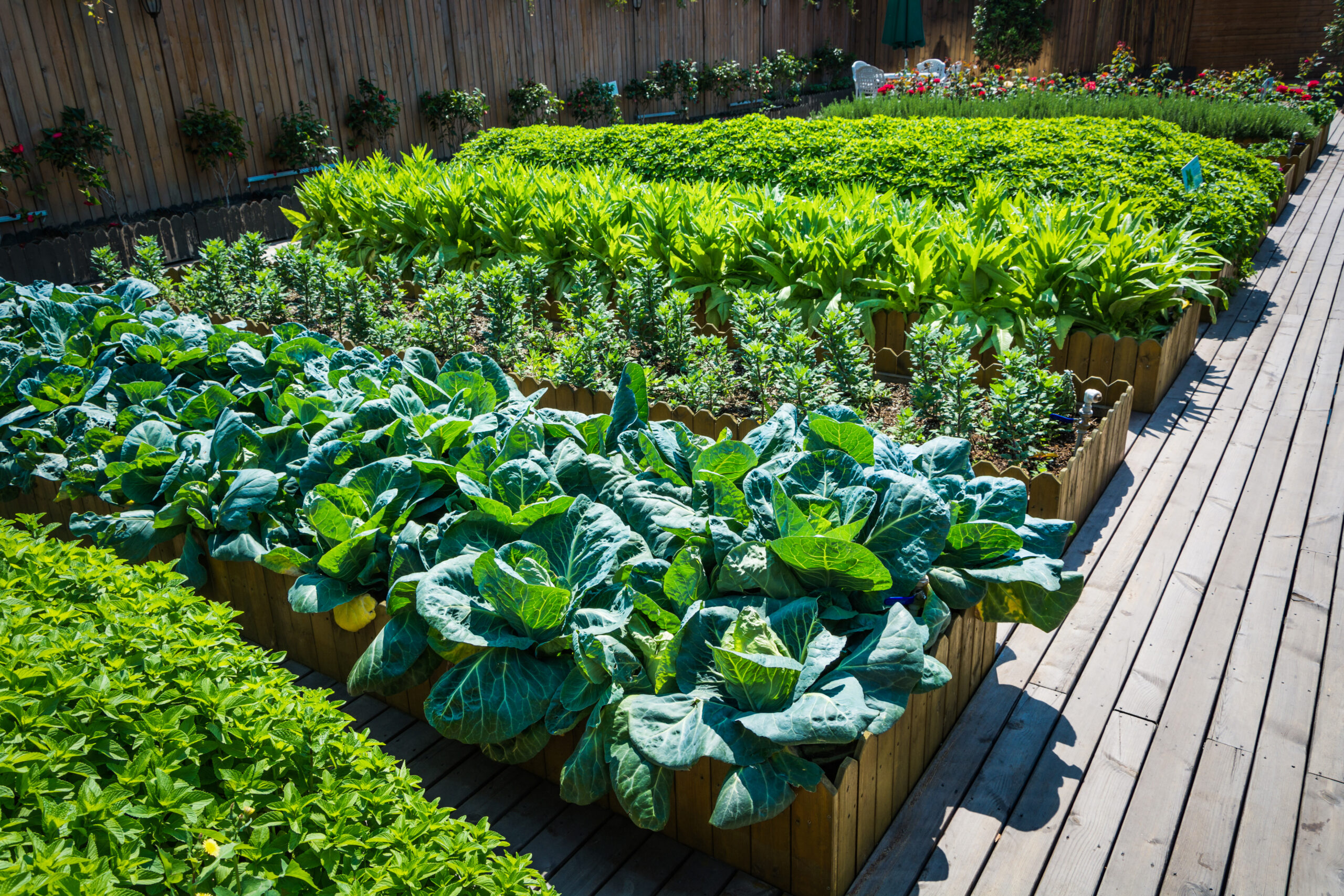 Por que as plantas precisam de nutrientes para crescer?