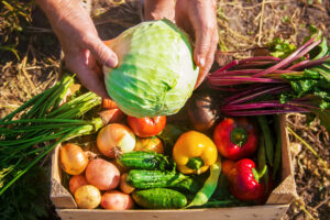 Clube da Horta - grande variedade de nutrientes em uma cesta com vários vegetais