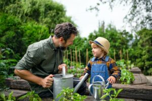 Clube da Horta -Menino pequeno com pai jardinando na fazenda, cultivando vegetais orgânicos