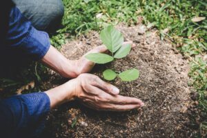 Clube da Horta - representação da preservação ambiental