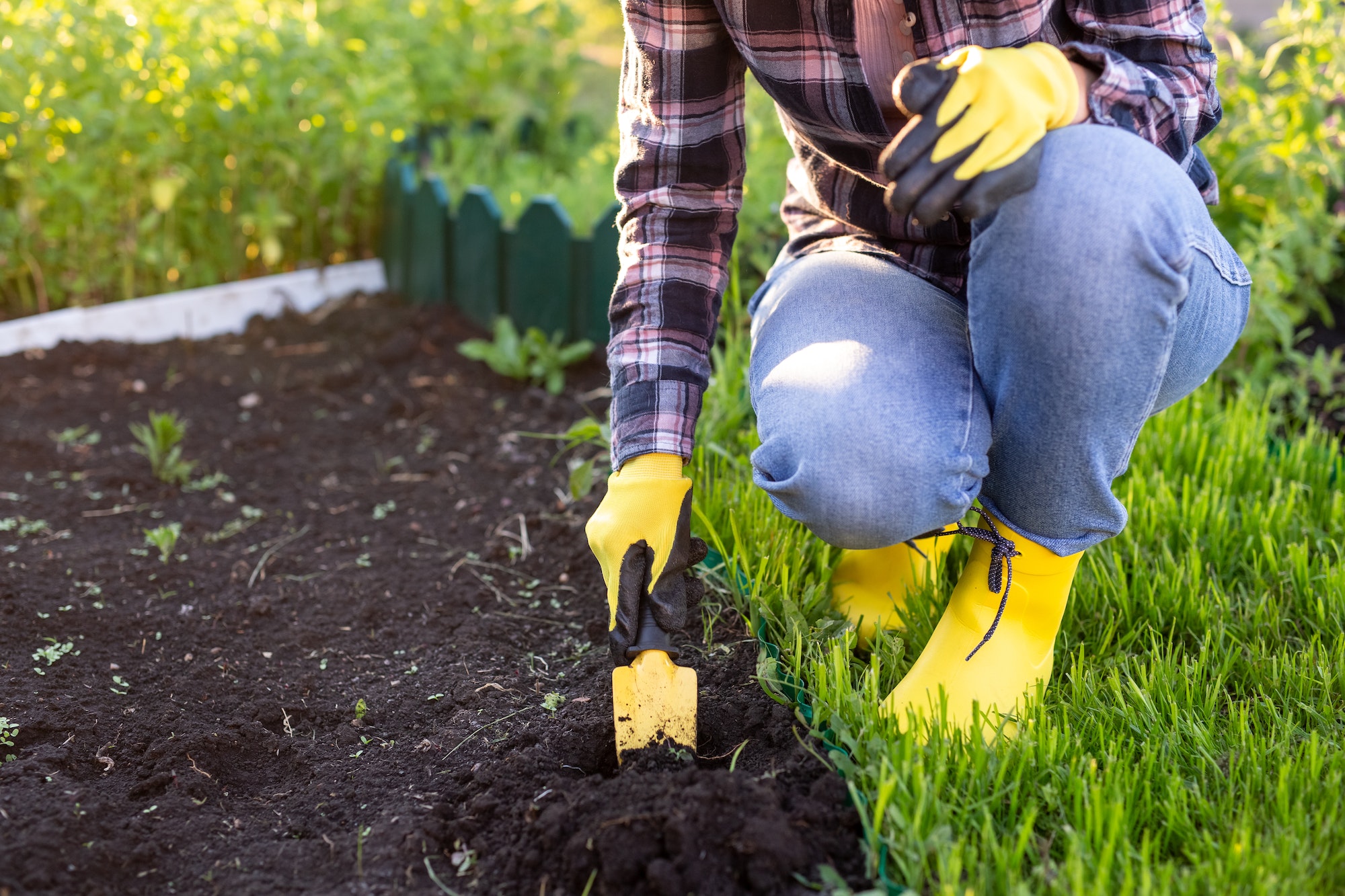 Clube da Horta - jardineira cuidando de uma horta orgânica.