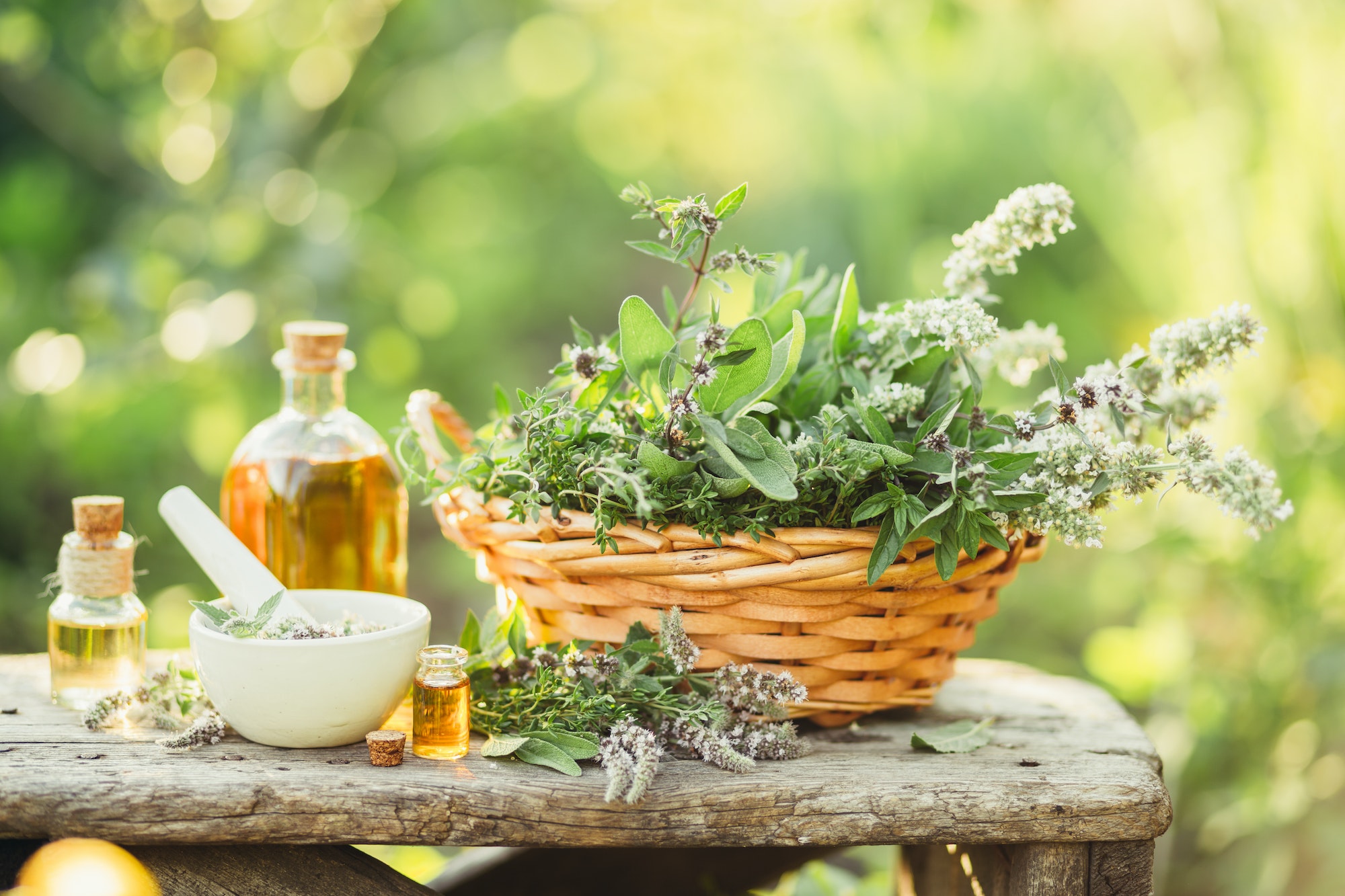 clube da Horta - plantas medicinais em uma cesta