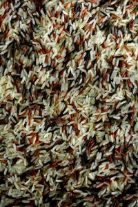 Clube da Horta - Baga de arroz orgânico cru e textura mista de arroz integral. Fundo de ingrediente alimentar