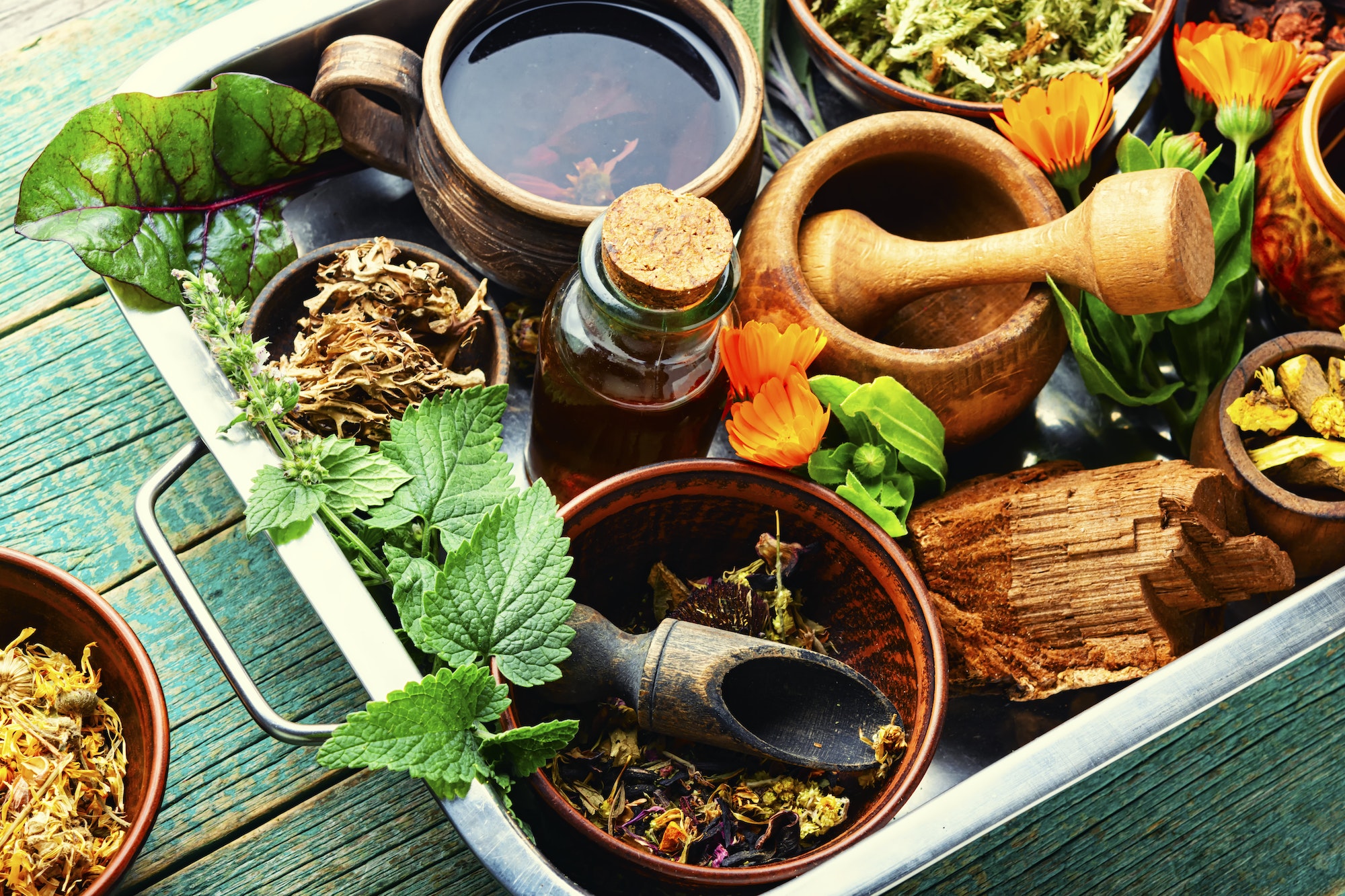 A importância das ervas medicinais na culinária